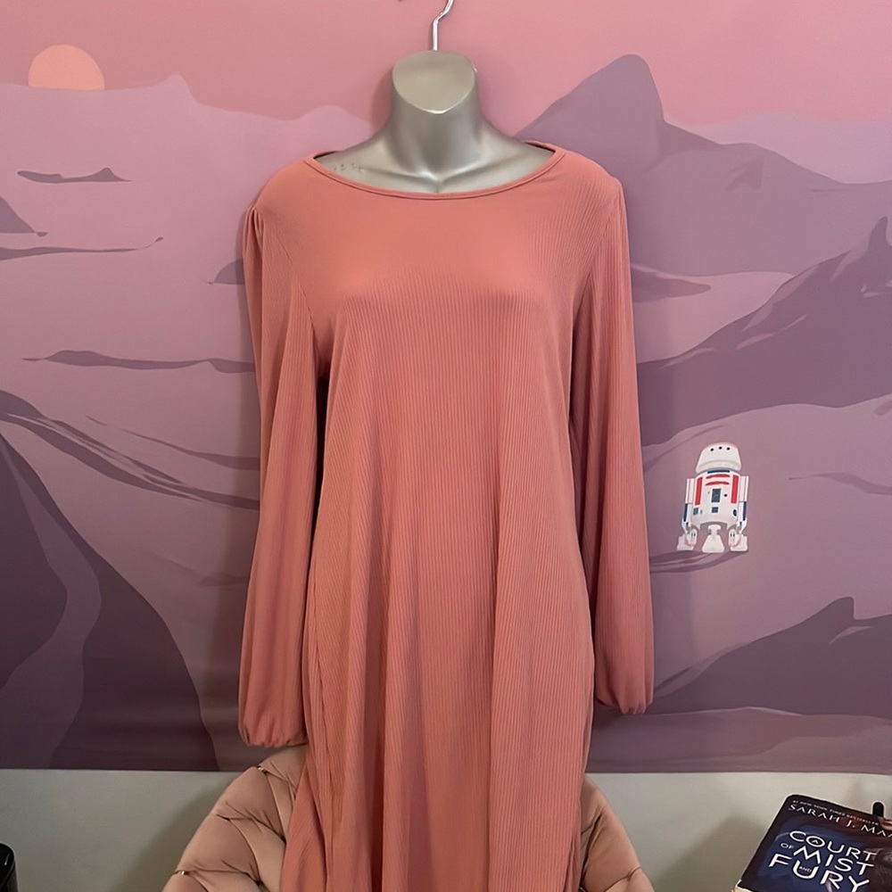 Francesca’s (Dee Elly) Long Sleeve Pink Sweater Dress Size Medium